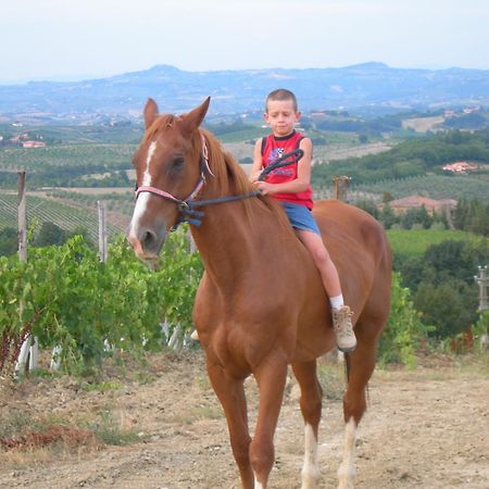 Agriturismo Podere La Marronaia San Gimignano Exterior foto