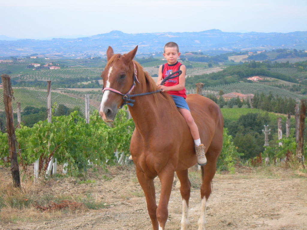Agriturismo Podere La Marronaia San Gimignano Exterior foto